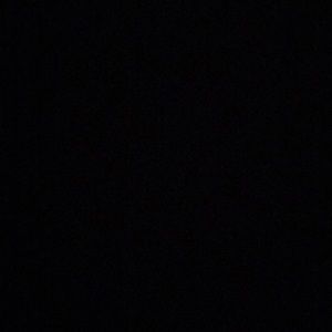 Meet your Posher, Bailee